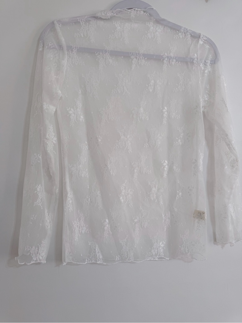 Sheer Lace Long-Sleeve Layering Top-White